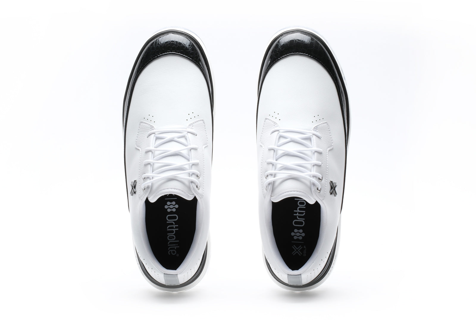 MOVING DAY SC RS "GATORS"