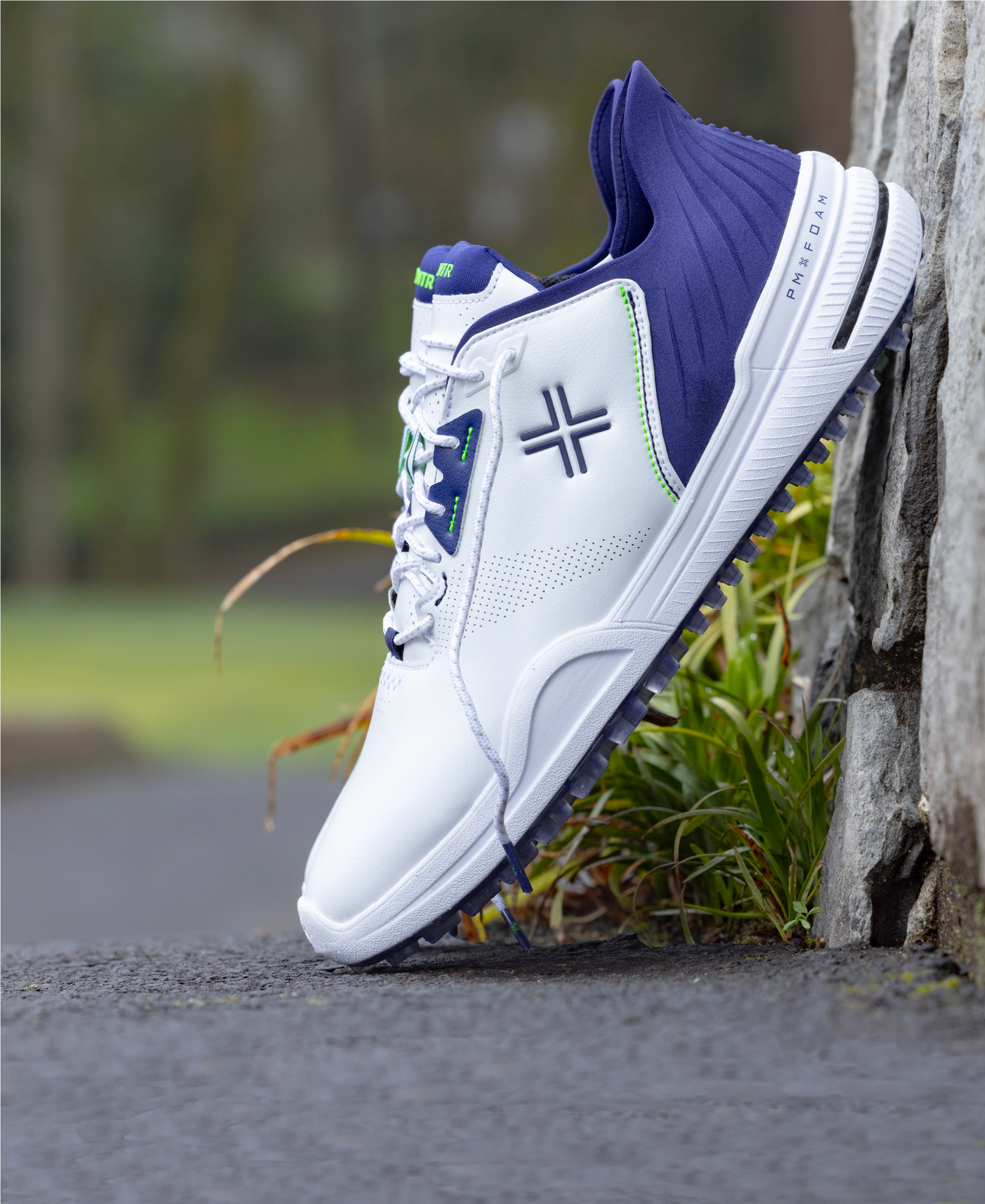 Payntr shoes 2025