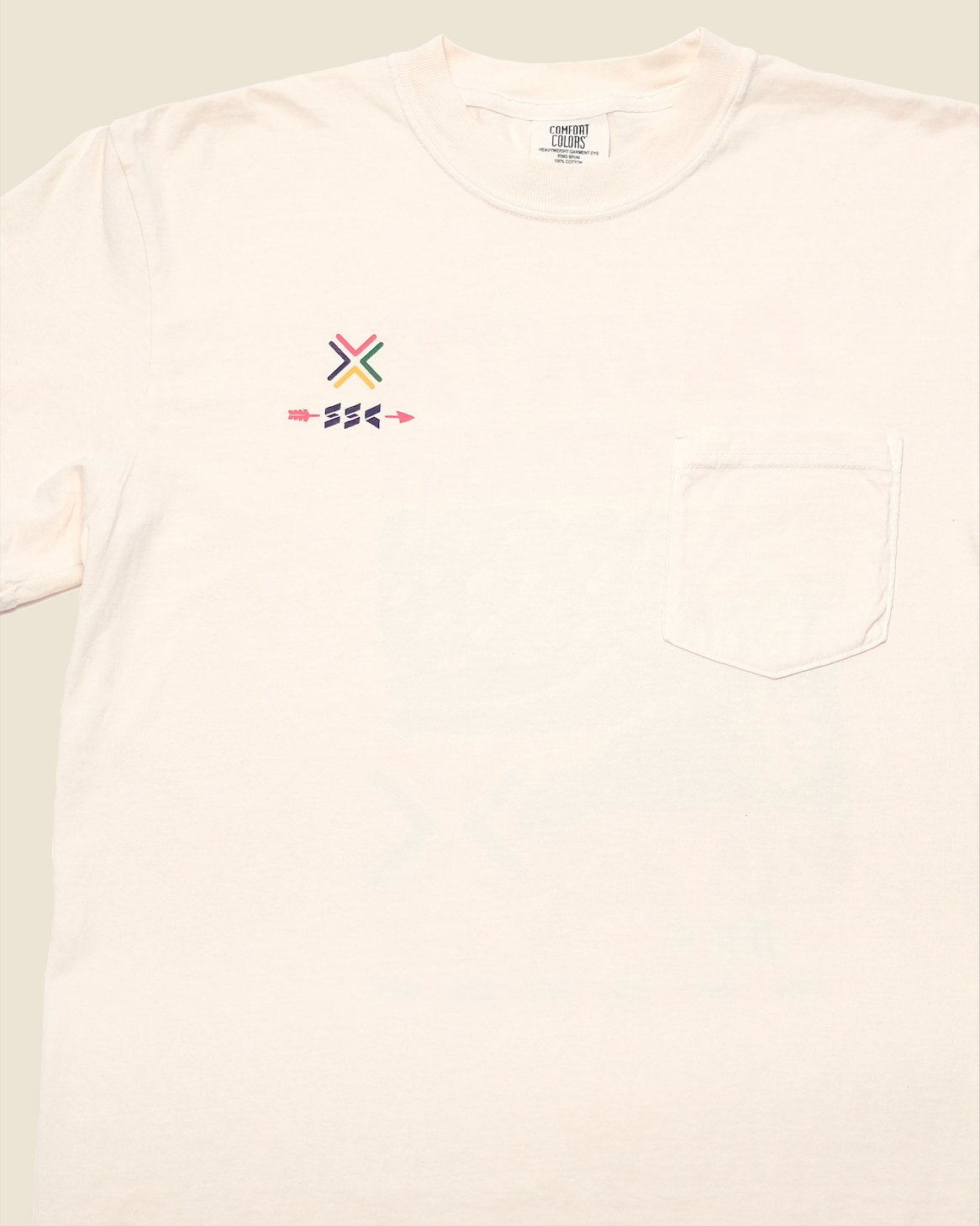 PAYNTR or Perish T-Shirt